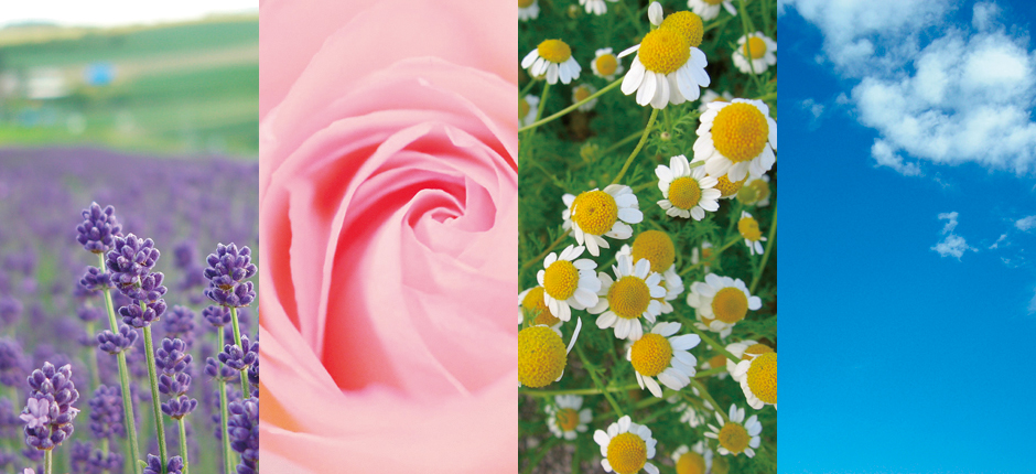 アロマテラピーアトリエ｜シェモナミのサイトです